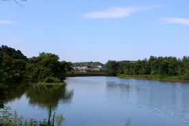 父母过世十年之后，你的家庭多半会出现这几种状况图片