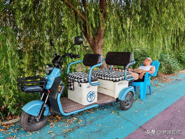 垂柳树下乐逍遥
