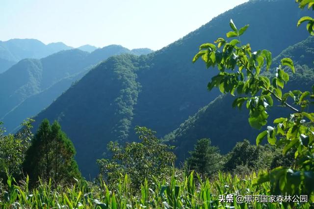秋天的第一场旅行，在黑河给你安排！