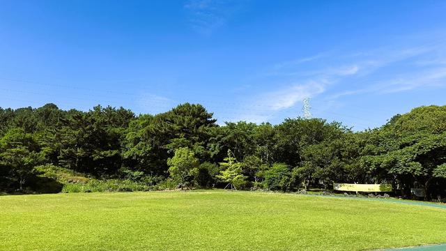 感受自然之美,夏日里的清幽秘境, 韩国济州岛汉拿树木园
