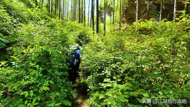 西安小众爬山线路，长安秦岭虎峪周末休闲游，公交自驾都可以