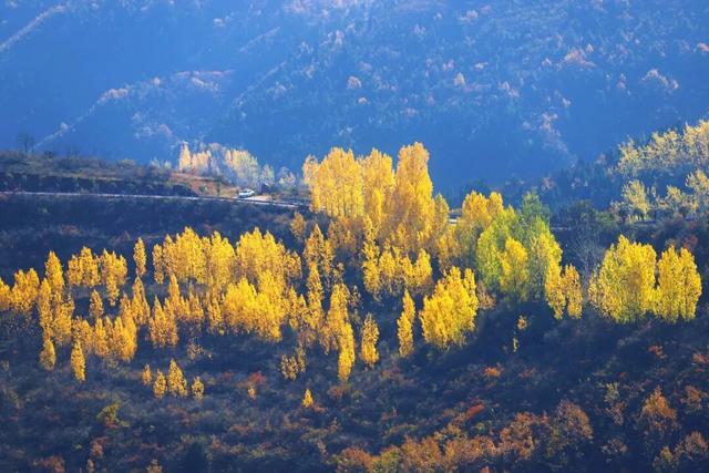 渑池坡头红叶拍摄记：一场迟来的秋日邂逅