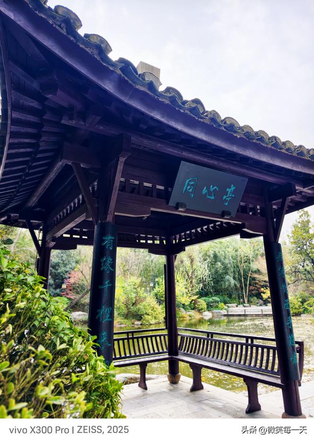 晨雾裹着秋香闯了金山寺，我在亭台里捡到一整个江南