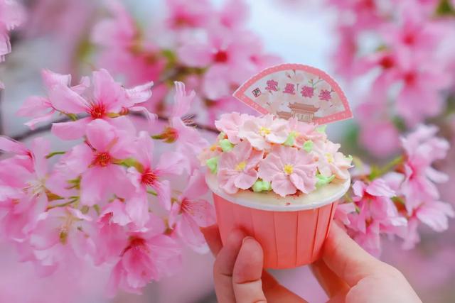 宝墨园请你看樱花啦！文末有粉丝福利→