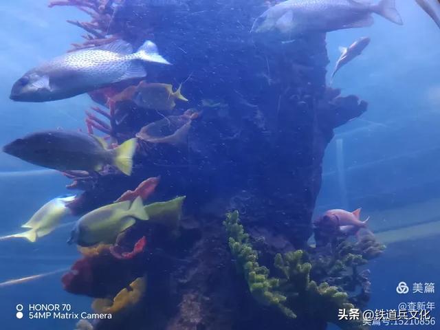 查新年||首次游览曲江海洋馆