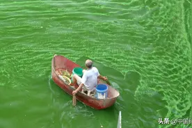 和蓝藻水华“松绑”：太湖水质30年来首达“良好”图片