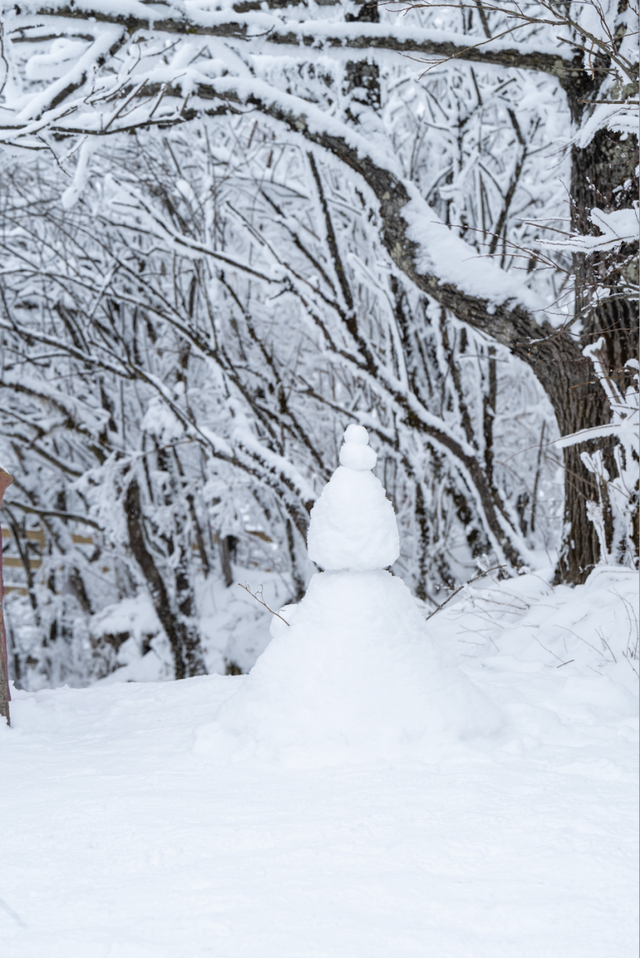 接下来的光雾山，四川人必游！耍雪、赏雪，一次性拿捏多重快乐～