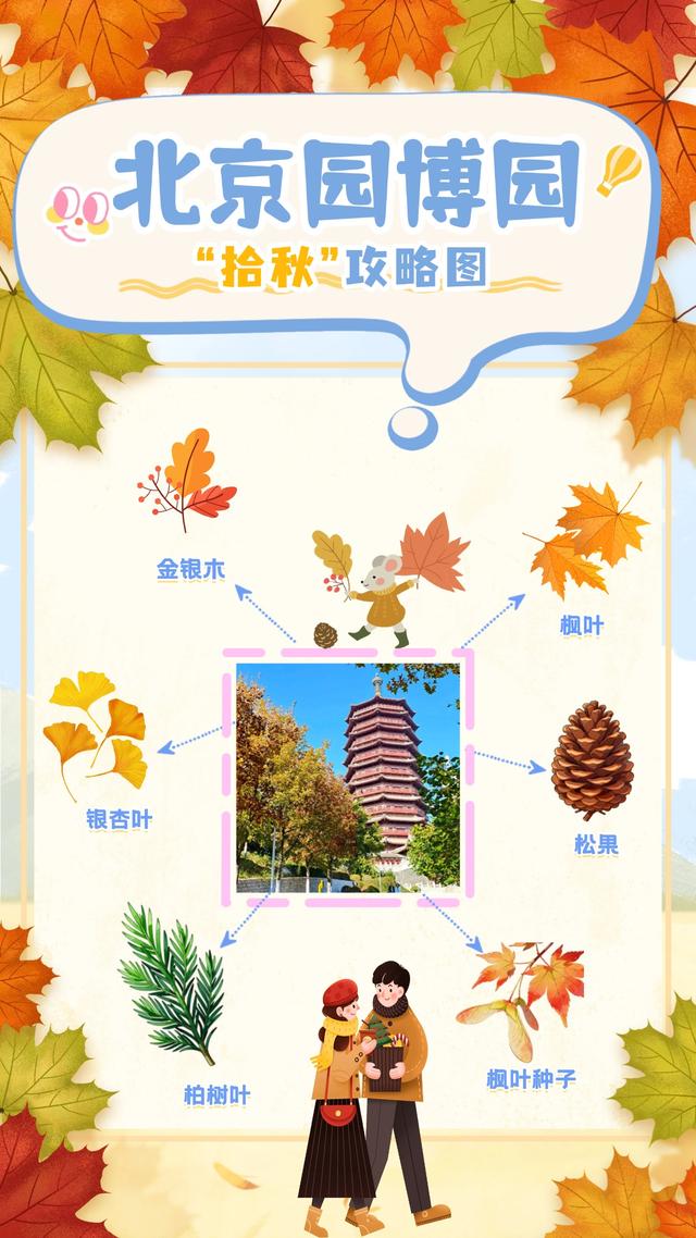 “丰”富的生物 | 秋天，请降临在我手心🍁