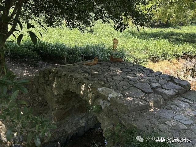 杭州印象·灵隐飞来峰
