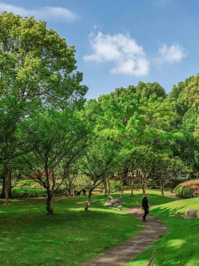雨过天晴!成都蓝撞上森系青,美出新高度!