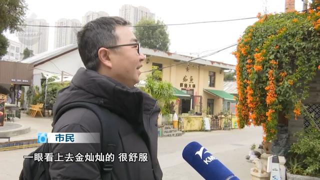 这片被暖意点“燃”的打卡地,满满的生命力!