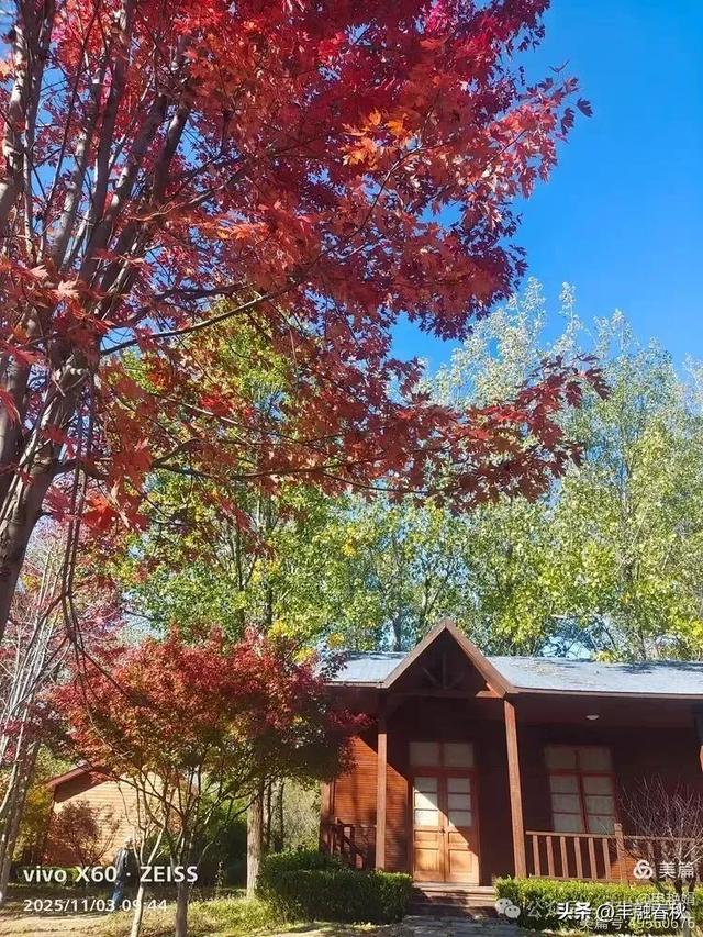 青岛即墨马山寻趣:一座地质公园的秋日私语|申艳娟