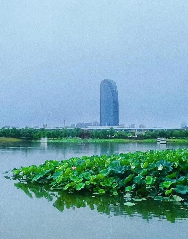 光谷8条私藏跑步路线	，资深跑友力荐，每条都有独特魅力