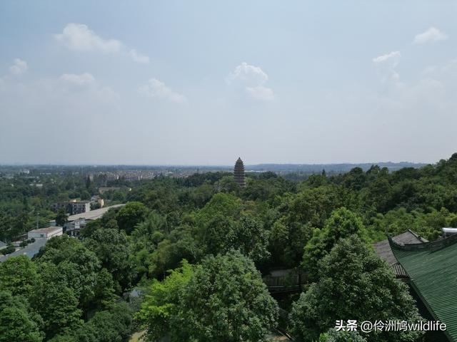 成都徒步（68）·彭州篇⑮佛山古寺&镇国寺宝塔