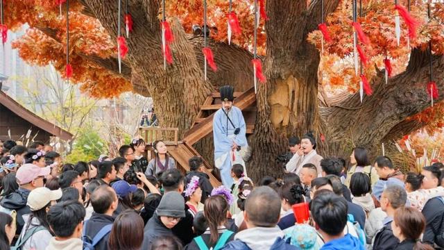 南有琅琊古城｜北有红叶柿岩，解码文旅双星炼成记