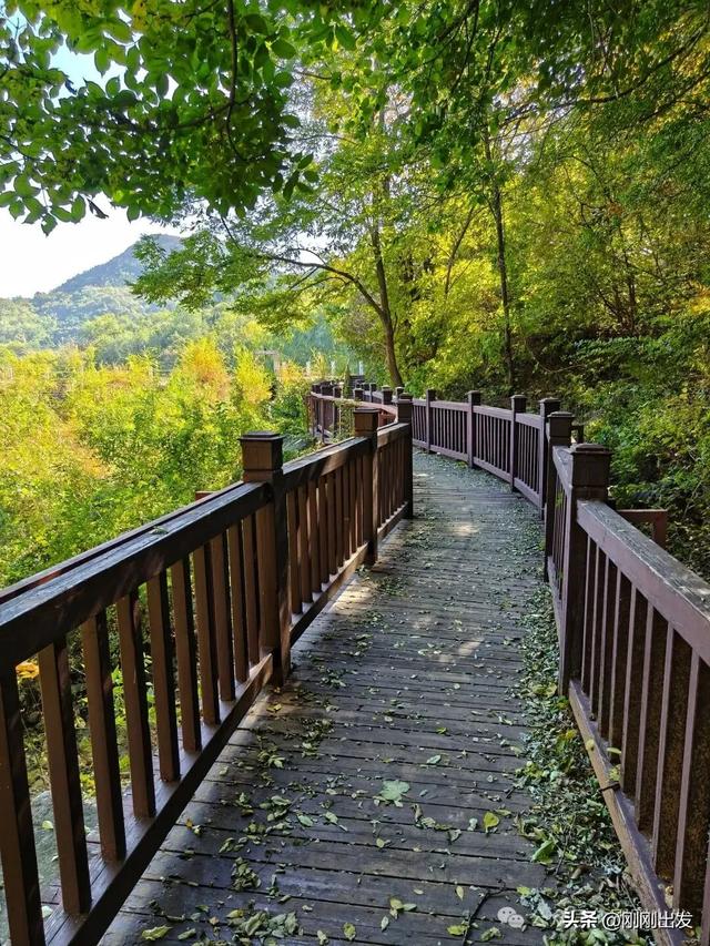 大连城山,挑战台阶之最,金龙寺森林公园风景太美了