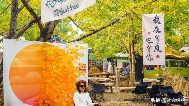 千年银杏染醉腾冲秋——走进“中国银杏第一村”