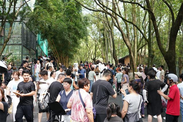 双节同庆 安吉文旅经济“热力值”拉满
