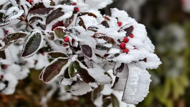 绝美！泰宁峨嵋峰变身冰雪王国，每一帧都是壁纸→