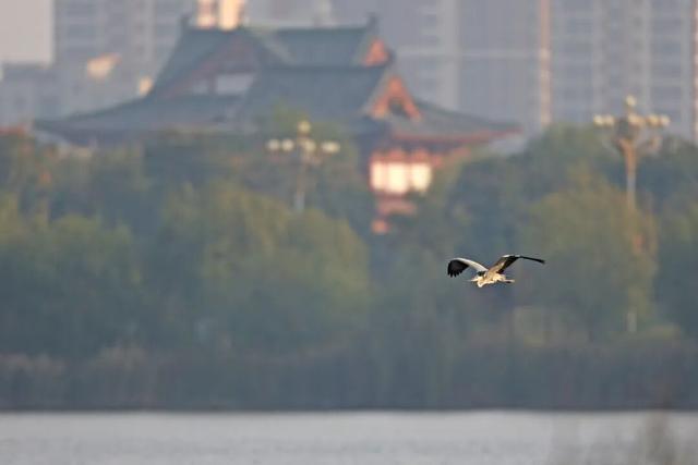 冬天在开封，一定要做这几件事！