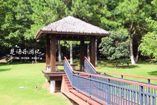 浙江宁波这片湿地少有人来，却是很美的赏荷胜地，周边美景也很多