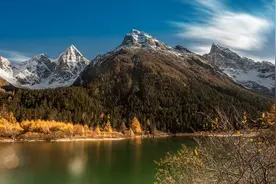 犹太人思维：长期持有一只股票，反复做T，最后的结局是怎样的？图片