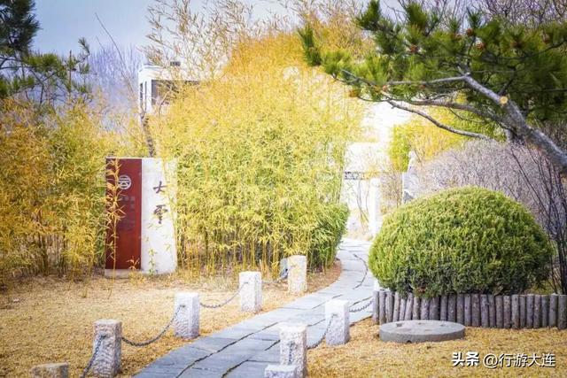 周末去哪儿？大连这八个馆里补给灵感~