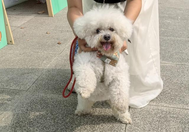 太仓长假隐藏玩法曝光！