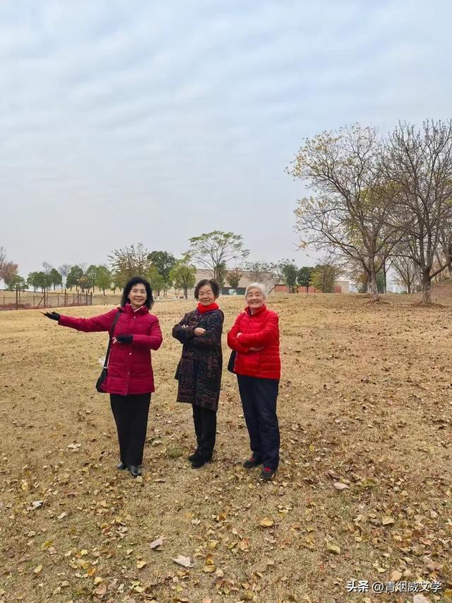 盘龙悠远银杏黄 水中学友情谊长