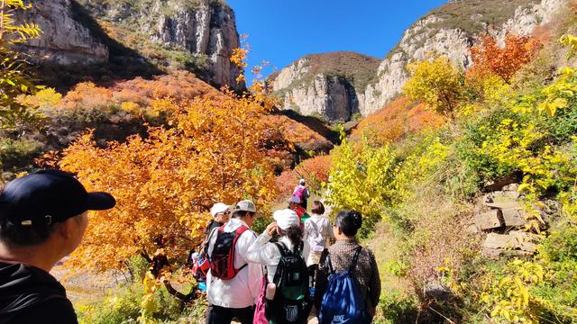 花最少的钱，看最美红叶，邢台佛照山，我们坐火车公交来啦