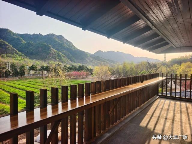 期待 | 古树下品咖啡！天津度假打卡地+1！重磅福利→