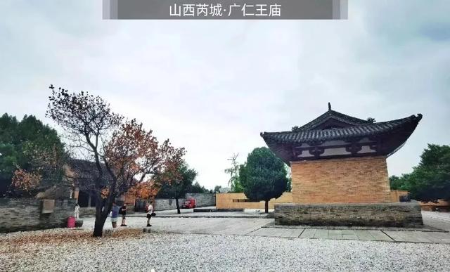 秋深景更美!运城最绚烂时刻到了!