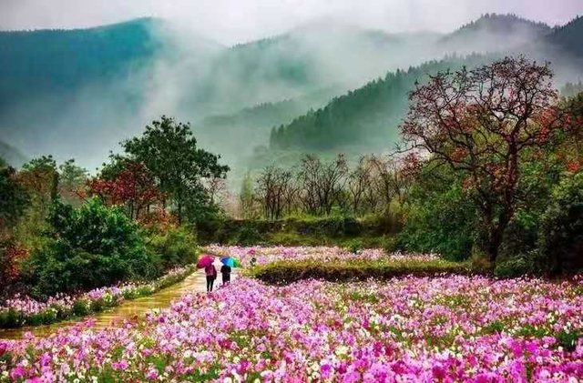 从赛道到风景：临朐马拉松文旅自驾游线路推荐