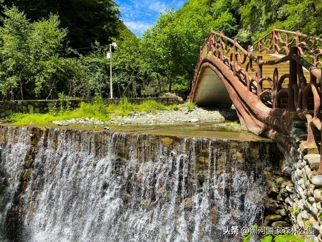 热浪再度来袭？不如进山去！享受20℃+的清凉舒爽