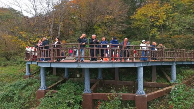 昨日实拍！层林尽染盐井峡，漫山红叶醉秋风，观赏正当时