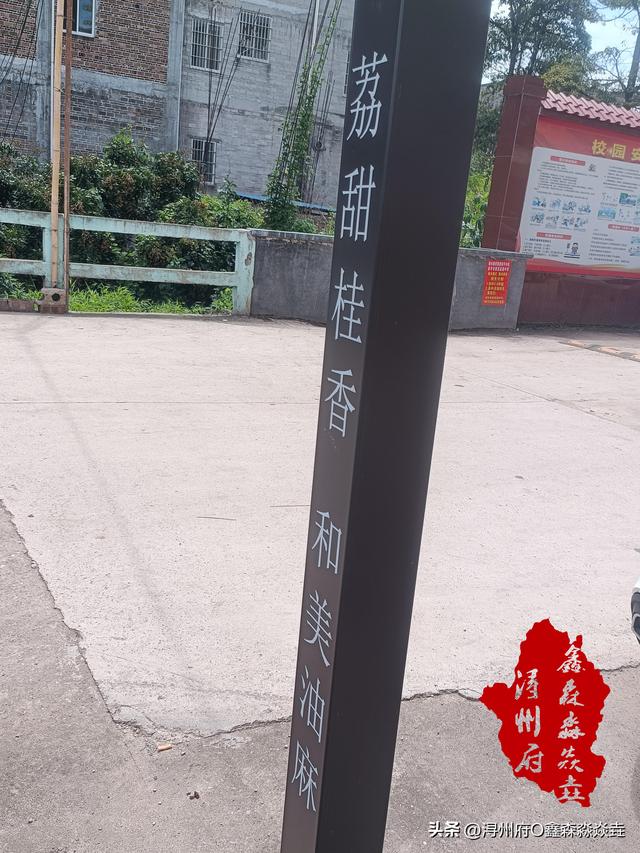 桂平人文：公交乡镇通——正被改变的城乡公共交通出行方式