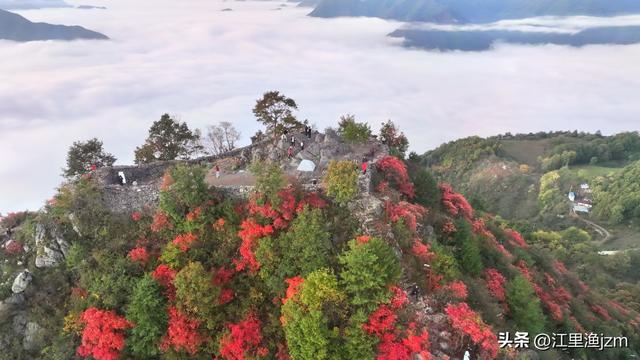 红叶漫山秋意浓