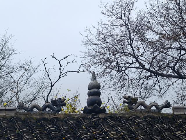 秋雨访皇藏峪，瑞云寺前问禅心