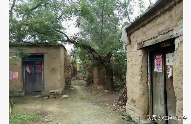 梁山历史名村——蔡林