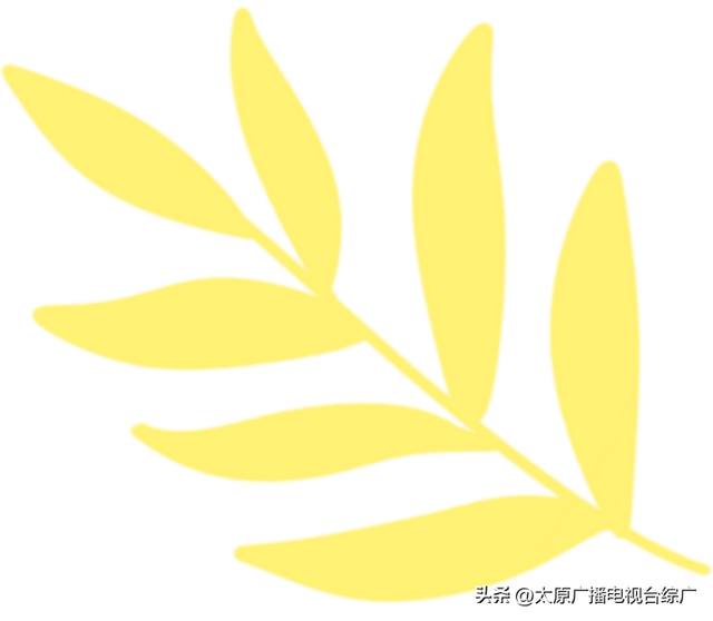 太原盛夏：公园里的花事盛宴