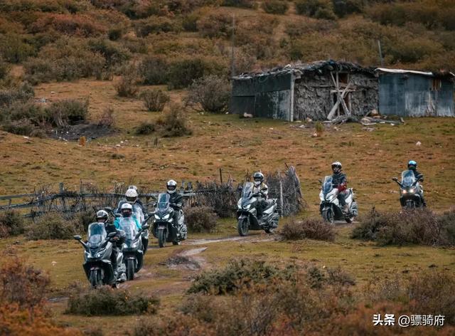 大小两群羊，3500公里的珠峰朝圣之旅