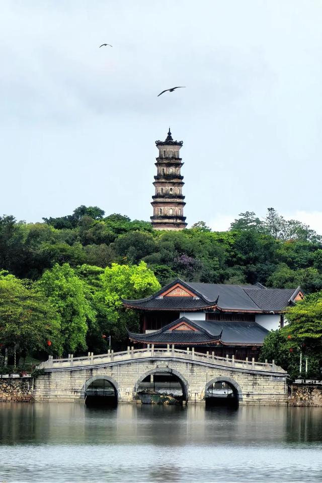 惠州的美好，藏不住了！！！
