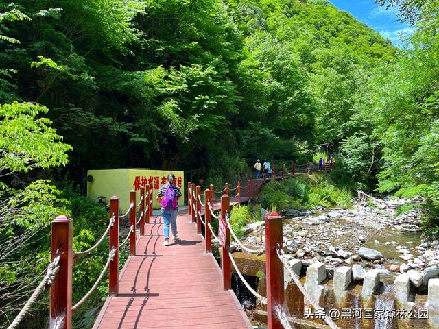 五一反向旅游首选：黑河国家森林公园，自驾+徒步+山居，避开人潮享秦岭秘境
