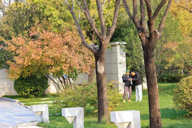 从从容容游刃有余!把江南的秋天“搬进”石景山——