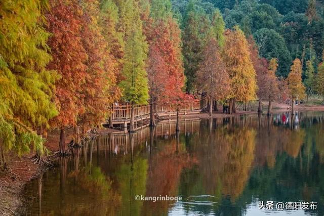 最新实拍！德阳东湖山都美成啥样了啊？太夸张了