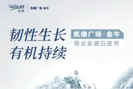 凯德入华30年！成都项目发布首份商业发展白皮书献礼图片
