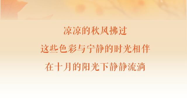 太原市迎泽区：府城漫步｜满城色彩绘就秋日画卷