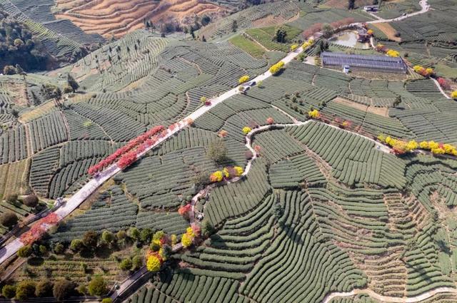 成都出发，适合暑期带娃旅行的6个宝藏城市！