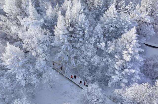 阿尔山冬日浪漫，不止冰雪！十大玩法+五条线路，解锁阿尔山童话季