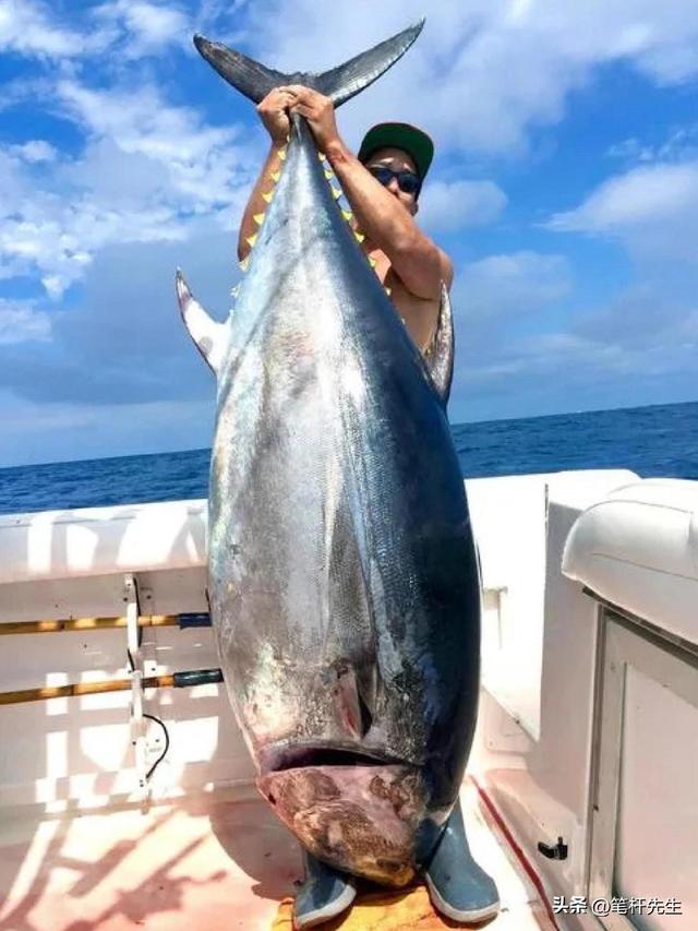 恐龙既不温血也不冷血？化石标记物揭秘	，中温性成灭绝关键